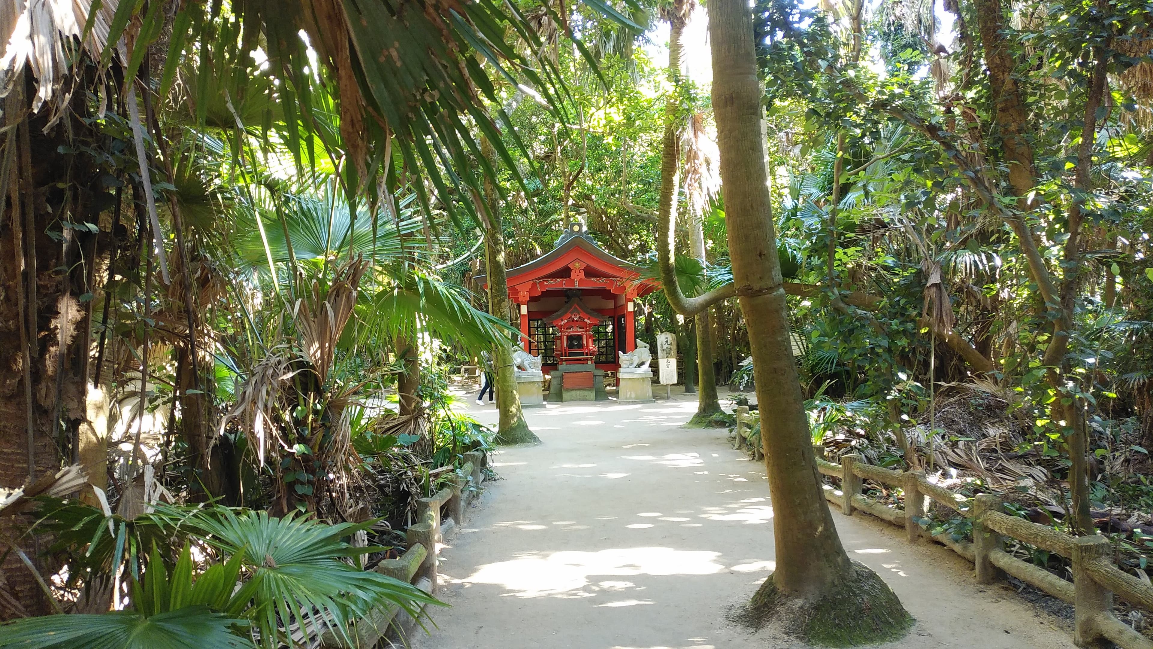 佐藤和代のメインビジュアル